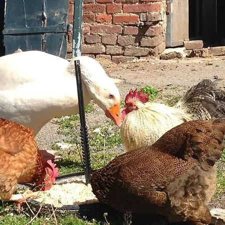 Ferme De Wichery, 2-6 Pers.