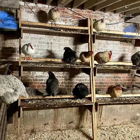 Ferme De Wichery, 2-6 Pers. Σπίτι διακοπών Rozoy-sur-Serre