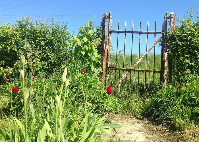 Ferme De Wichery, 2-6 Pers. Holiday home Rozoy-sur-Serre