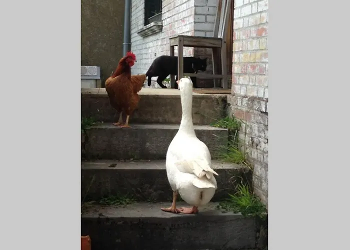Ferme De Wichery, 2-6 Pers. Rozoy-sur-Serre