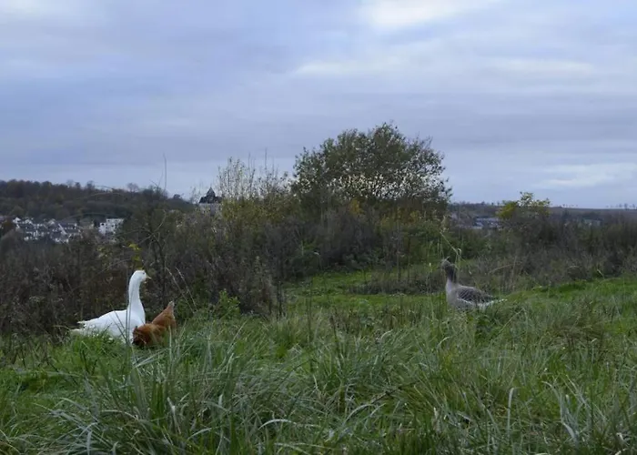 Holiday home Ferme De Wichery, 2-6 Pers. *