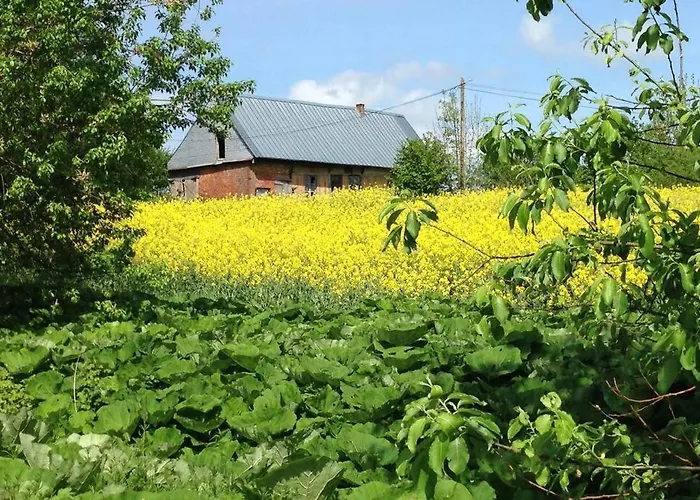 Ferme De Wichery, 2-6 Pers. *