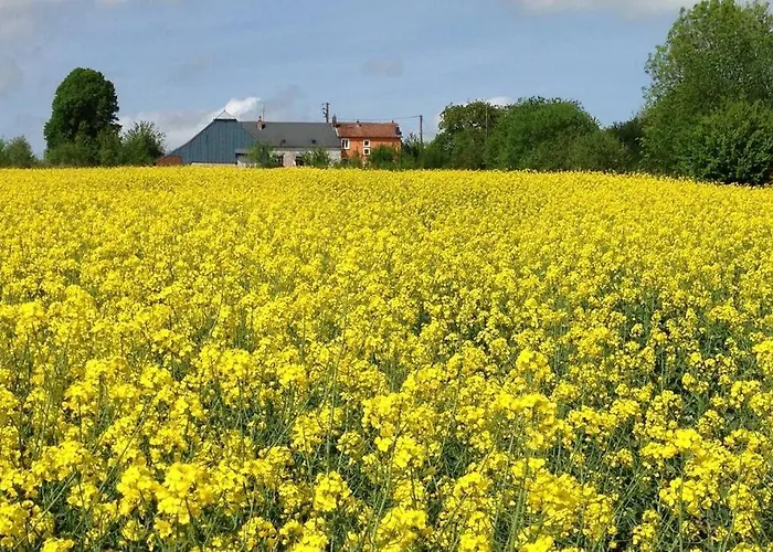 Holiday home Ferme De Wichery, 2-6 Pers. *